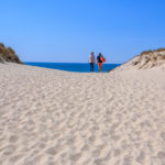 Passage de la dune pour arriver sur la plage sud de Hourtin