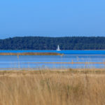 Vue sur le lac depuis Lachanau à Hourtin