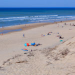 Parasols sur la plage sud de Hourtin plage en gironde