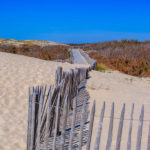 Passage dans la dune et les arbres à Hourtin