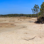 Plage de Lachanau à Hourtin Médoc